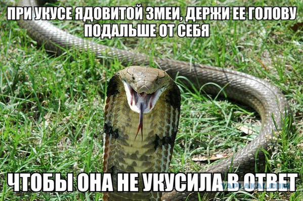 Немного картинок перед понедельником