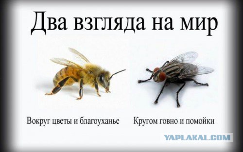 Почему американцы так небрежны в одежде?