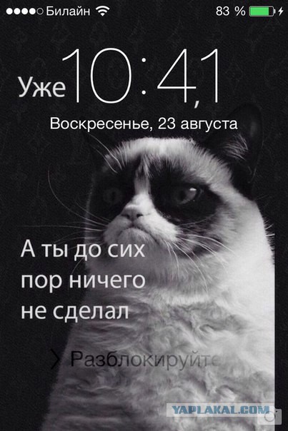 Когда находишь идеальную заставку для телефона