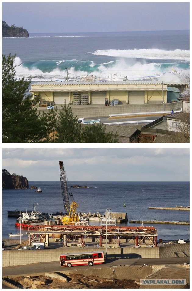 Tsunami: год спустя.