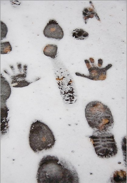 Разные картинки