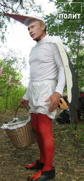 Путин с клювом в халате возглавил журавлиный клин