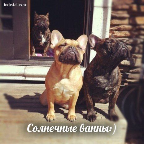 Картинки из сети, подборка