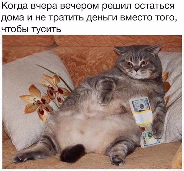 Мохнатые беспредельщики