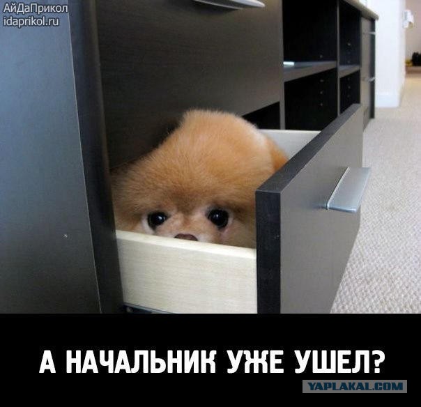 Интересные и веселые картинки