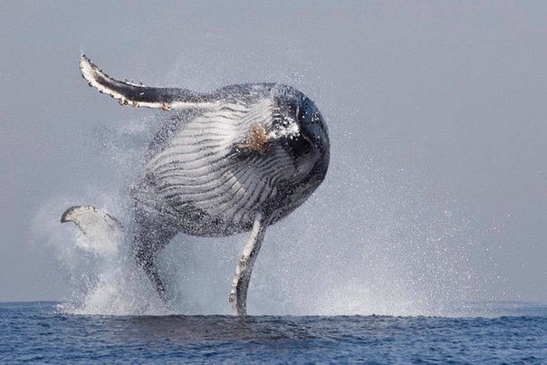 Подборка интересных и веселых картинок