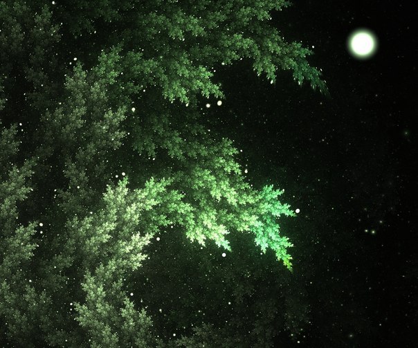 Интересные и веселые картинки