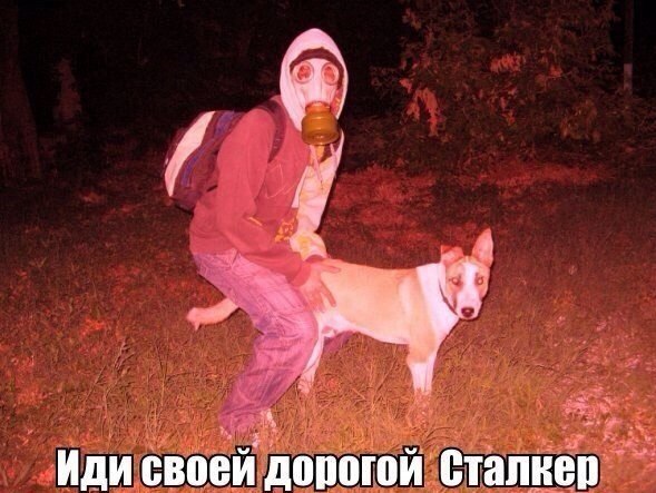 Фанатам игры С.Т.А.Л.К.Е.Р посвящается