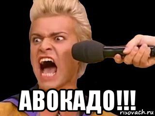 Сети и русский язык