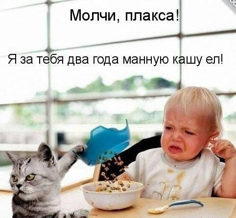 Ассорти картинок из сети