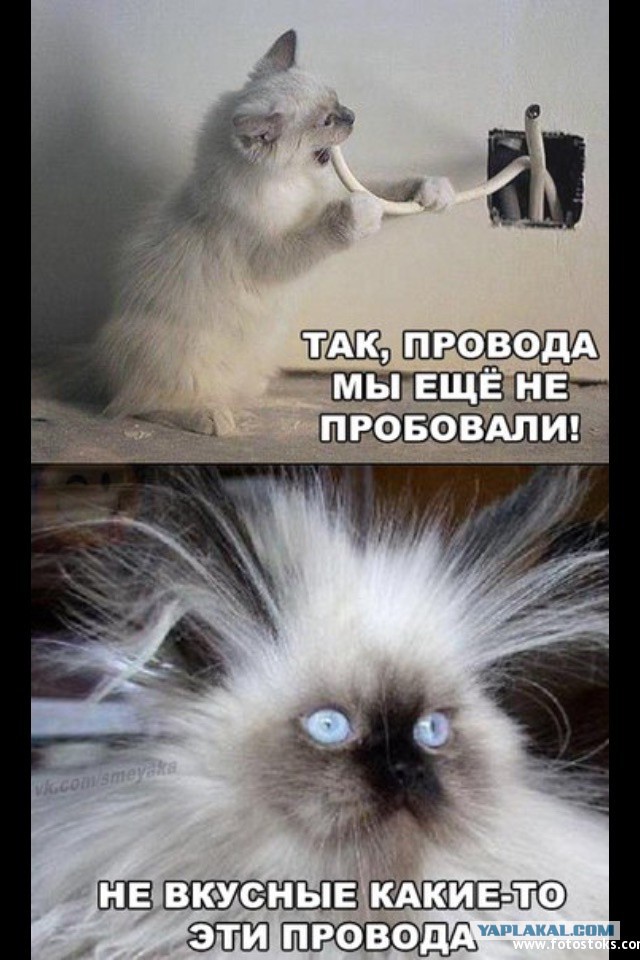 А вы были "на волоске"?