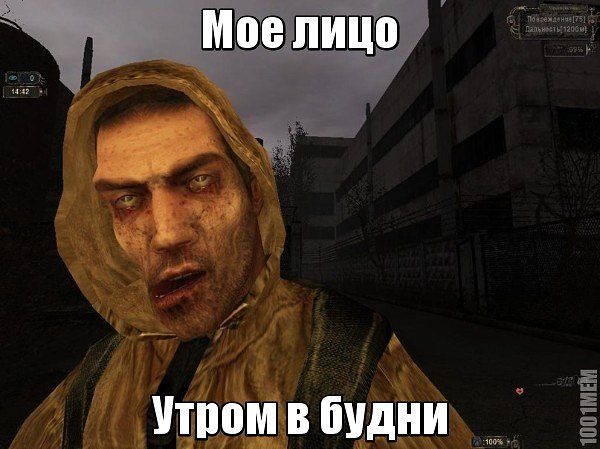 Фанатам игры С.Т.А.Л.К.Е.Р посвящается