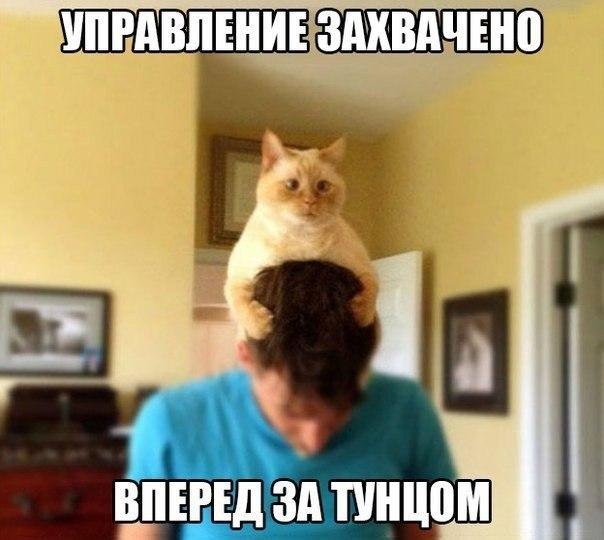 Подборка картинок