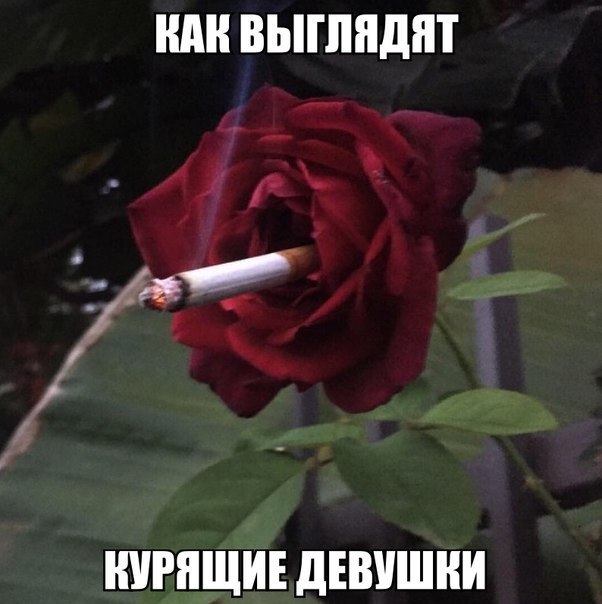 Картинки. Интересные, старые и не очень.