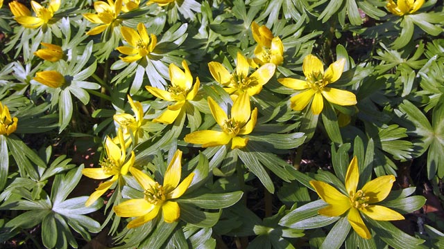 Дороги Германии после зимы по-русски (-20)