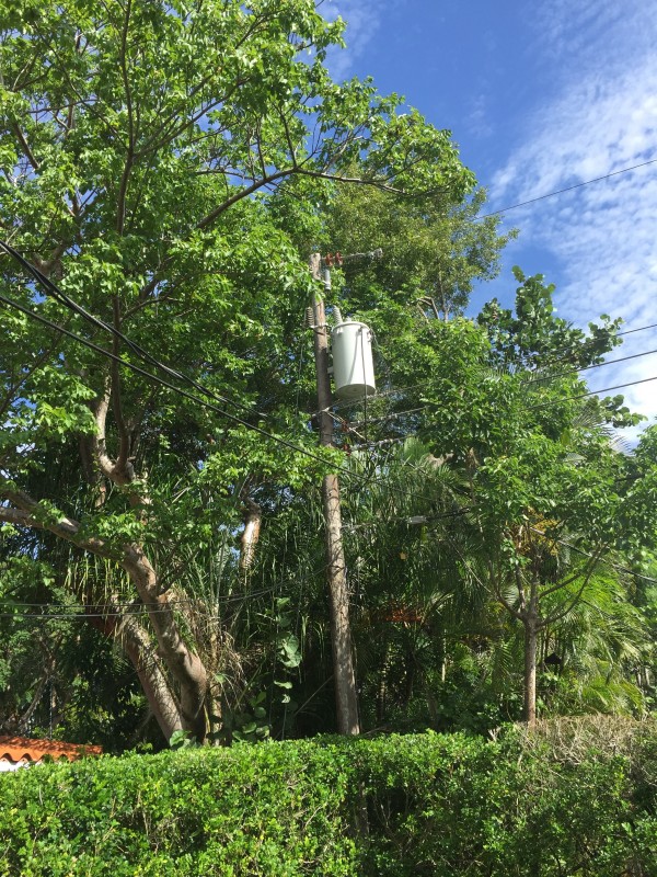 Почему в разных странах разные розетки