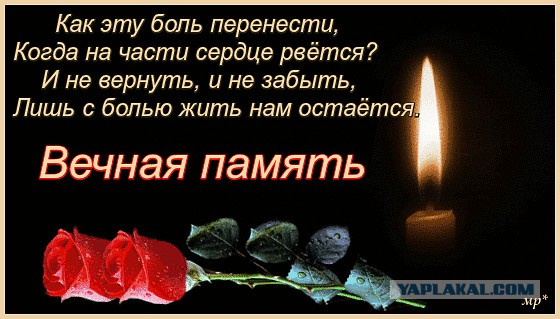 В Чите любители авиасимуляторов довели ребенка до суицида.