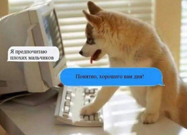 Подборка забавных животных