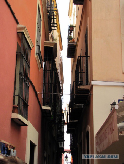 Роспотребнадзор предложил уменьшить солнечный свет в квартирах