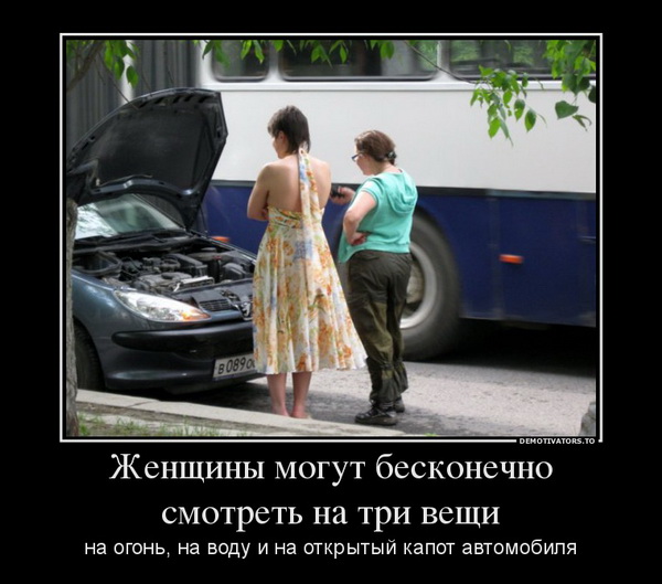 Немного веселых картинок к среде
