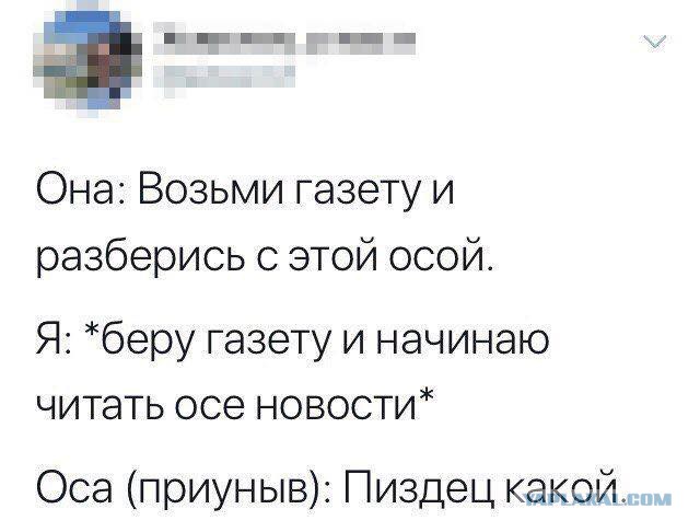Нестандартный юмор