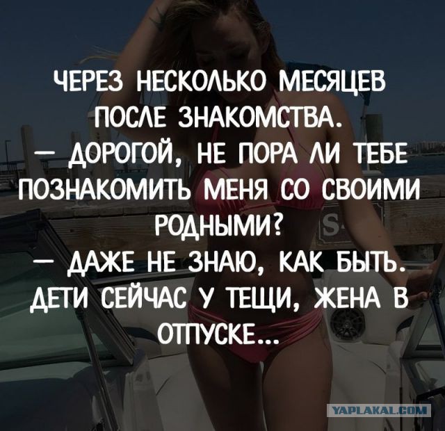 38 интересных и веселых картинок