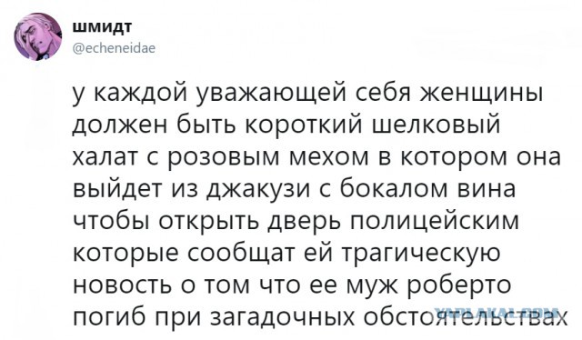 Смешные комментарии из социальных сетей 03.08.2018