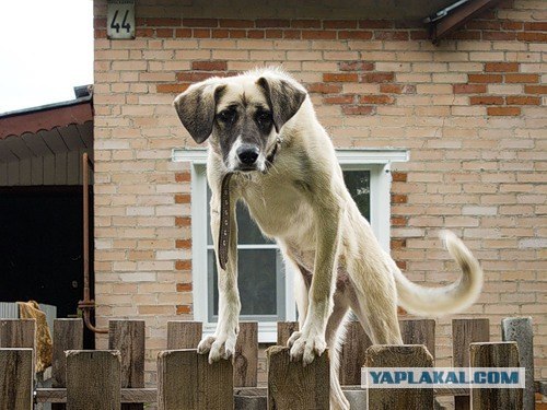 Ну ты заходи, если что!
