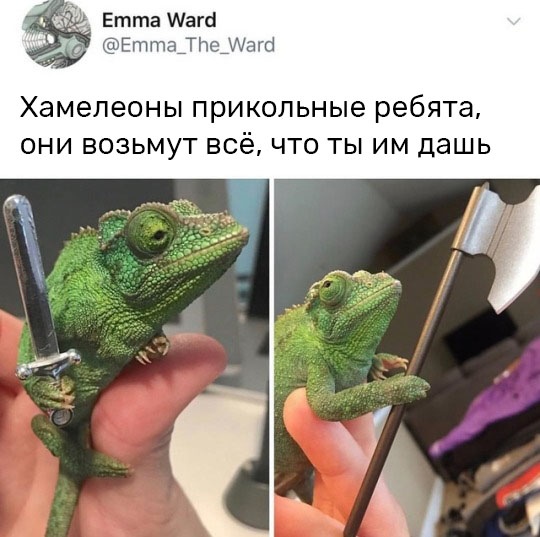 Всякие картинки