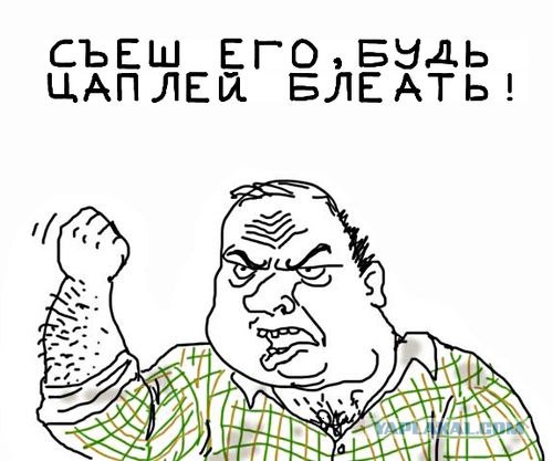Безбашенная цапля против крокодилицы