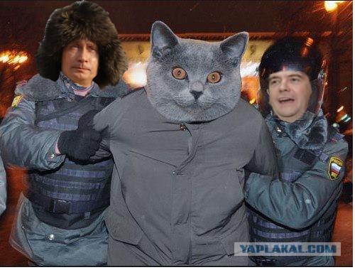 Дорофей убежал! Ещё один всё понял...