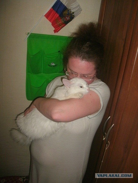 Котовторник на 26.06.12