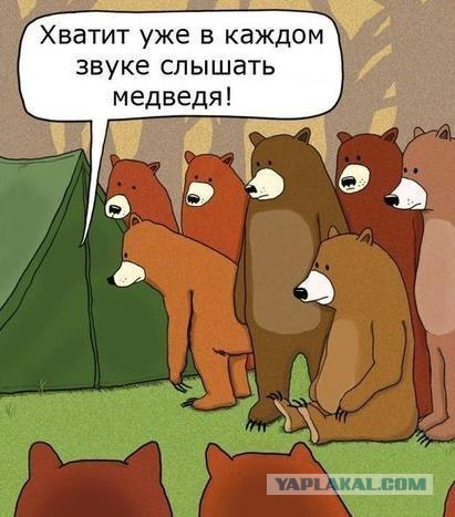 Камчатские мишки