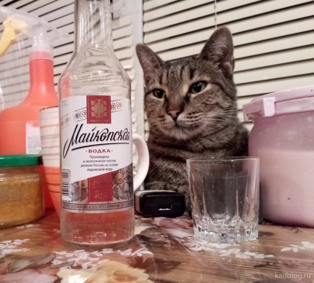 И всё-таки она наша. Лента картинок