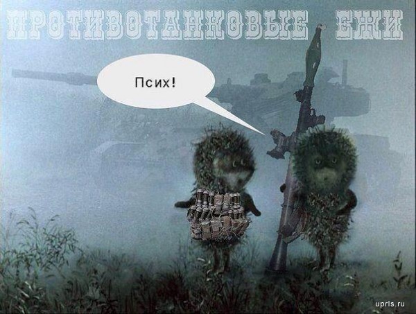 Картинки с надписями, истории и анекдоты
