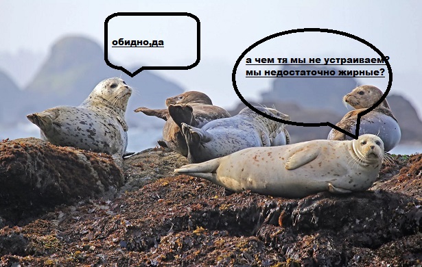 Геноцид женщин