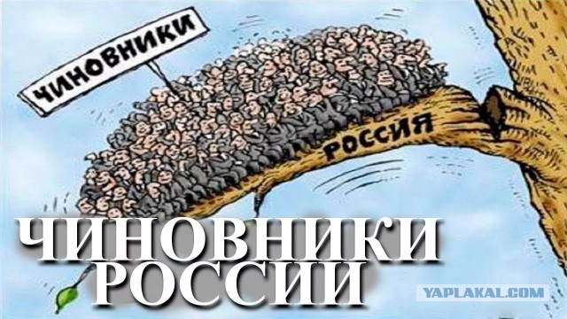 Медведев запретил посуточную аренду квартир
