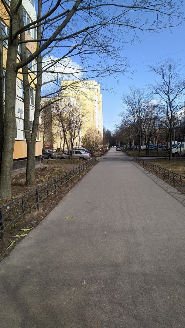 Санкт-Петербург сегодня