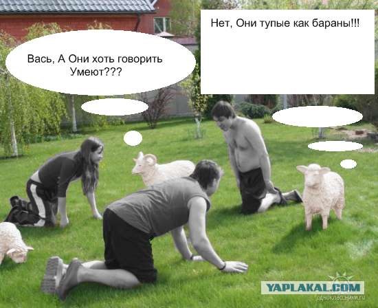 Отжабьте меня пожалуйста