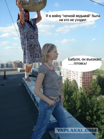 фотожаба: с бревном