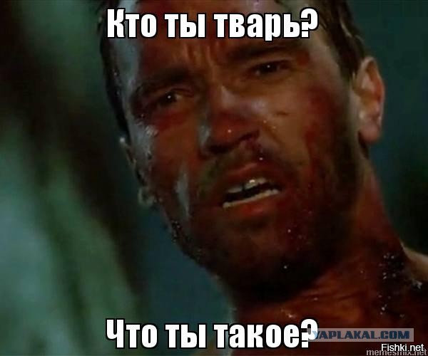 Что есть современный брак и почему это не семья