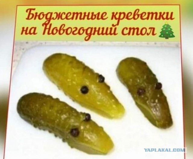 Боянистые картинки 17.12.20