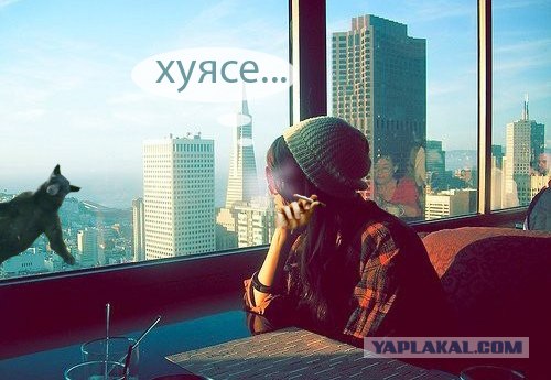 Мишка летун!
