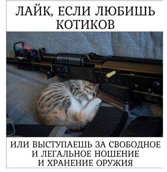 35 картинок разных 03.06.21