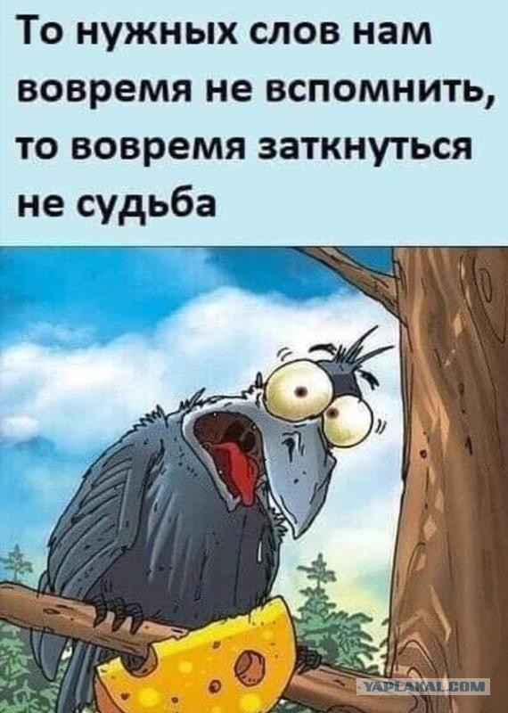 «Я как гражданин Российской Федерации не приемлю ЛГБТ. У нас отель за семейные ценности».