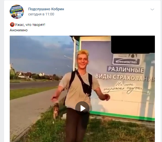 Кобринский каратэка