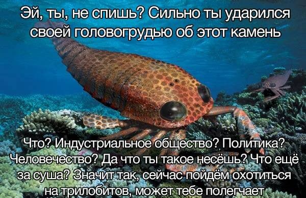 Всяческие картинки 10.12.2021