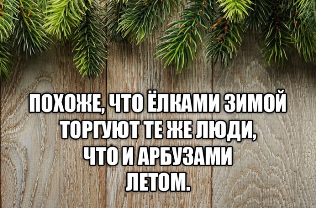 Есть два типа девушек и другие картинки 20.12.21