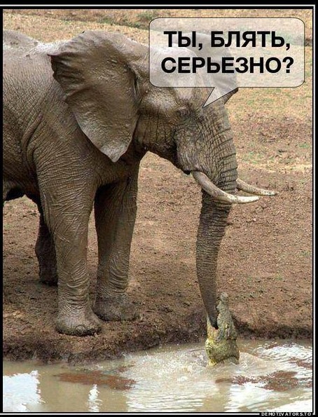Экспорт газа с Украины временно запретили