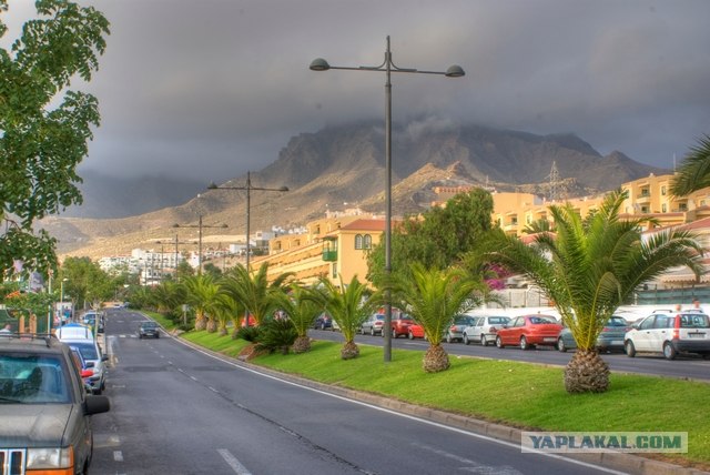 Канары, Тенерифе